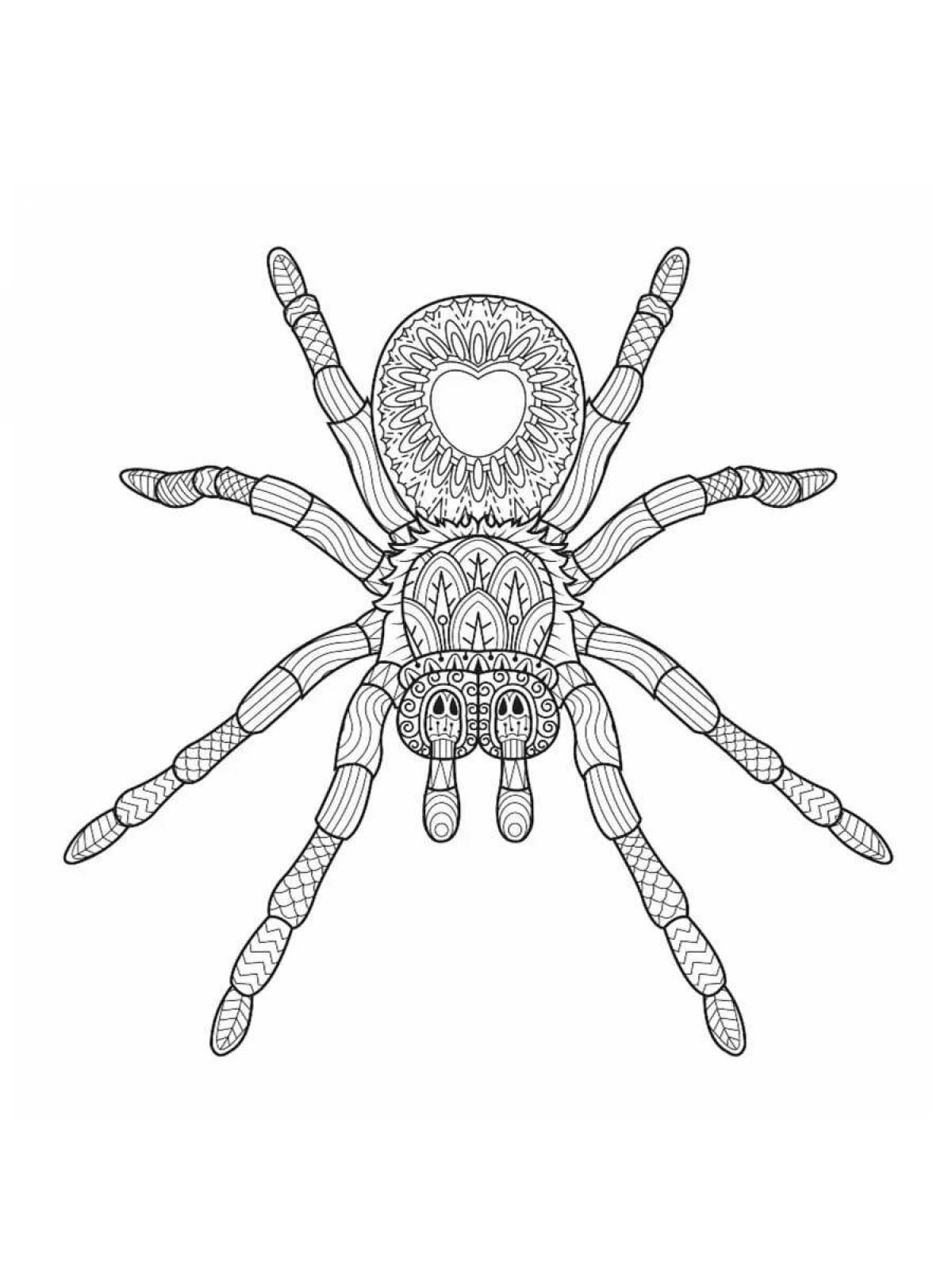 Впечатляющая страница раскраски паука тарантула