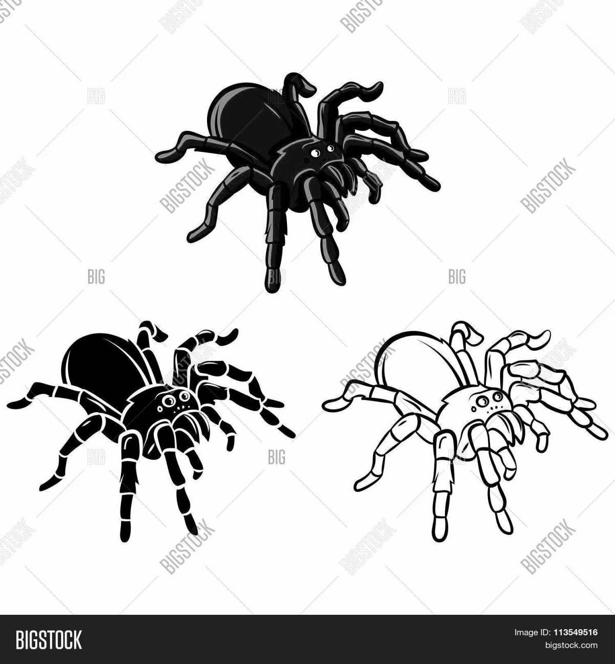Чудесный паук тарантул раскраска