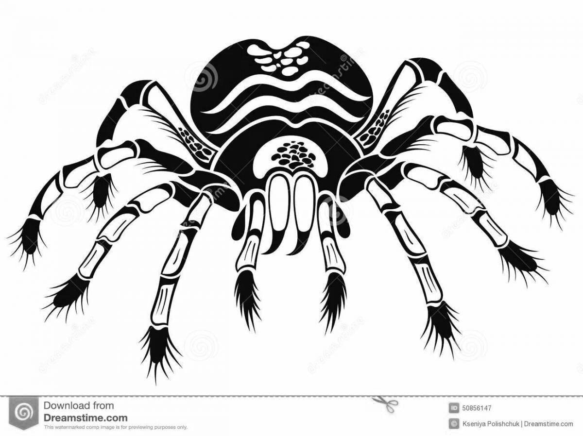 Уникальная страница раскраски паука тарантула