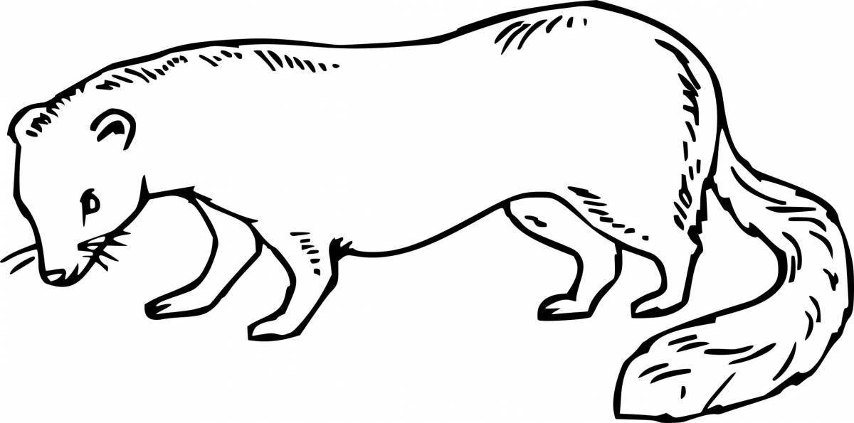 Раскраска «сияющая норка»