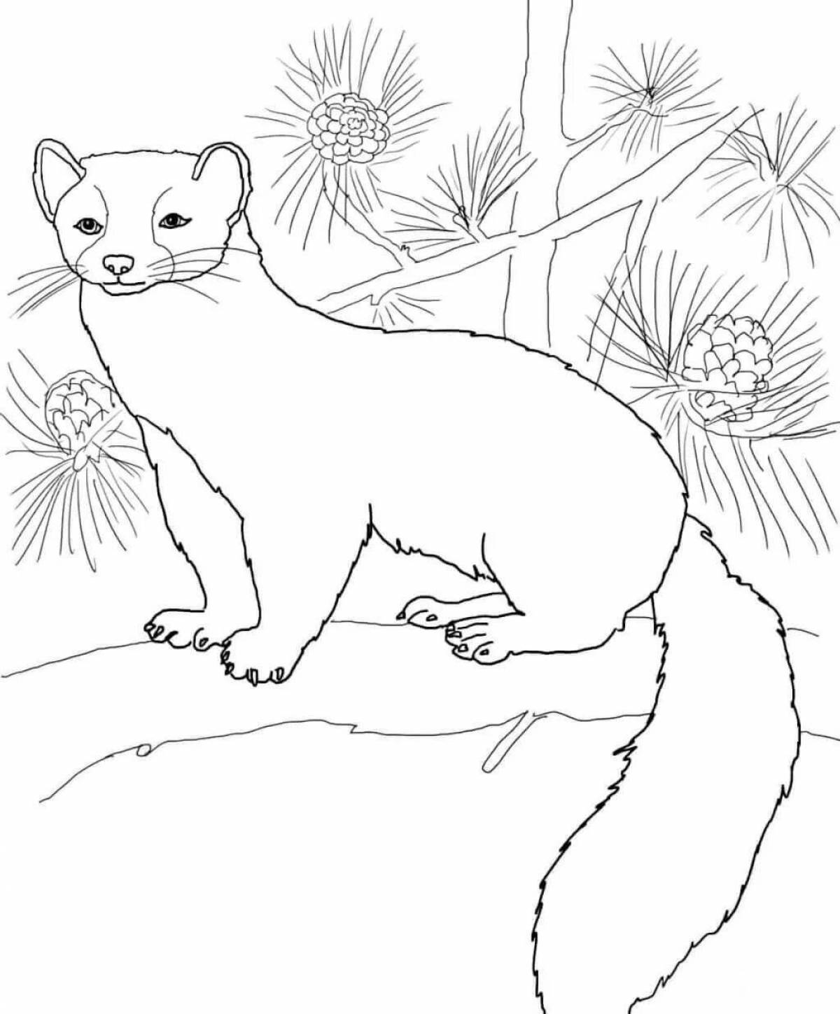 Flawless mink coloring page