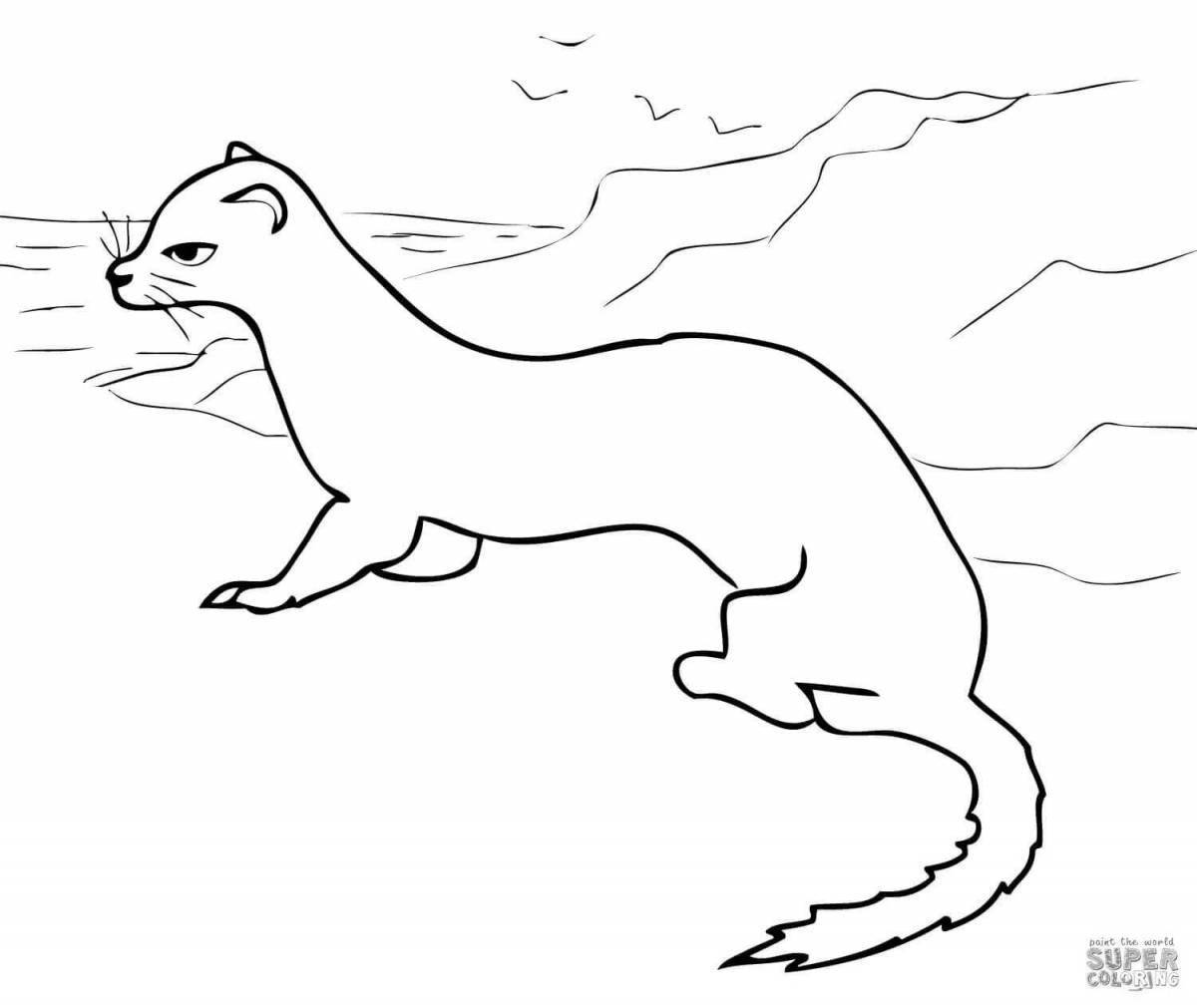 Perfect mink animal coloring page