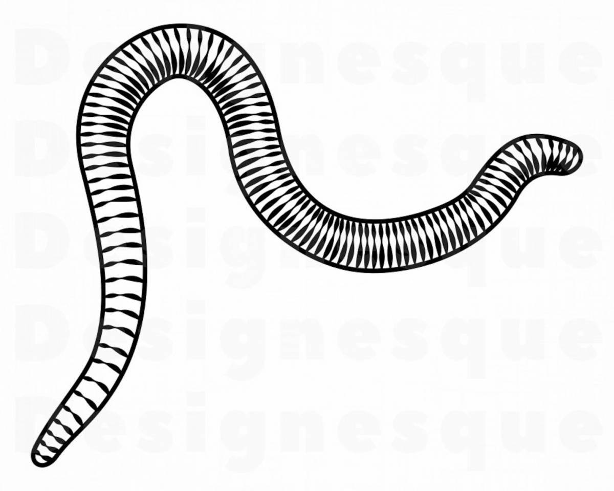 Fashion worm coloring page