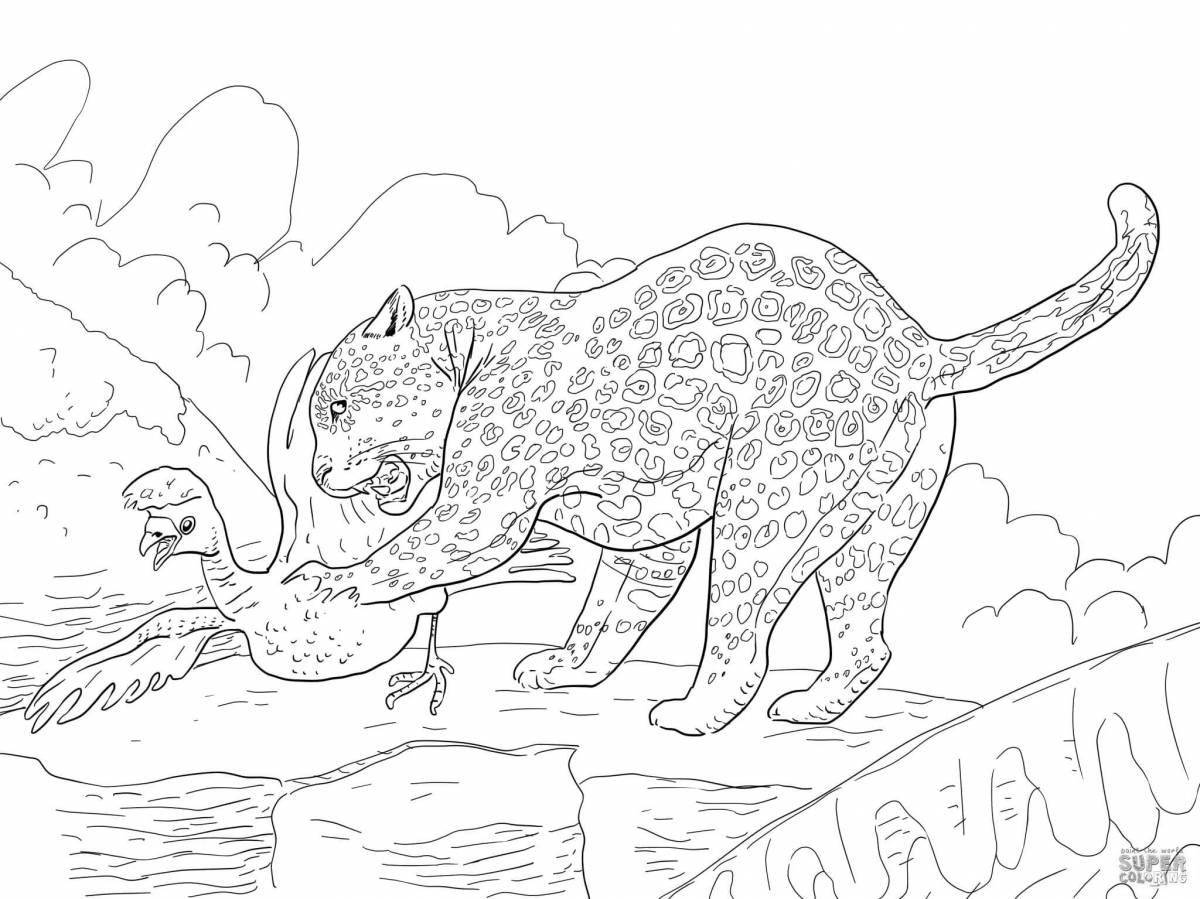 Majestic predators animal coloring book