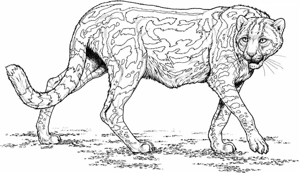 Ruthless predator animal coloring pages