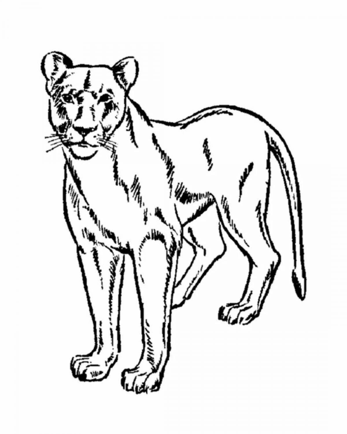 Photo Agile animal predator coloring pages