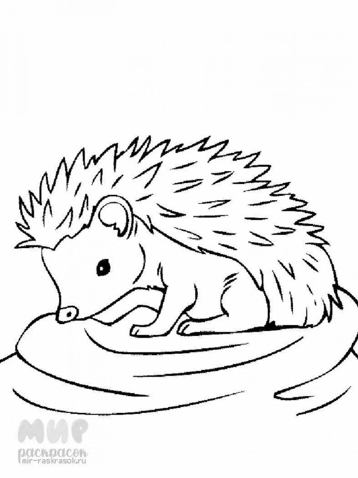 Colorful drawing of a hedgehog