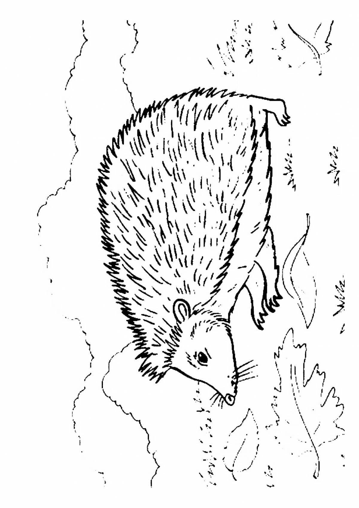 Playful hedgehog drawing