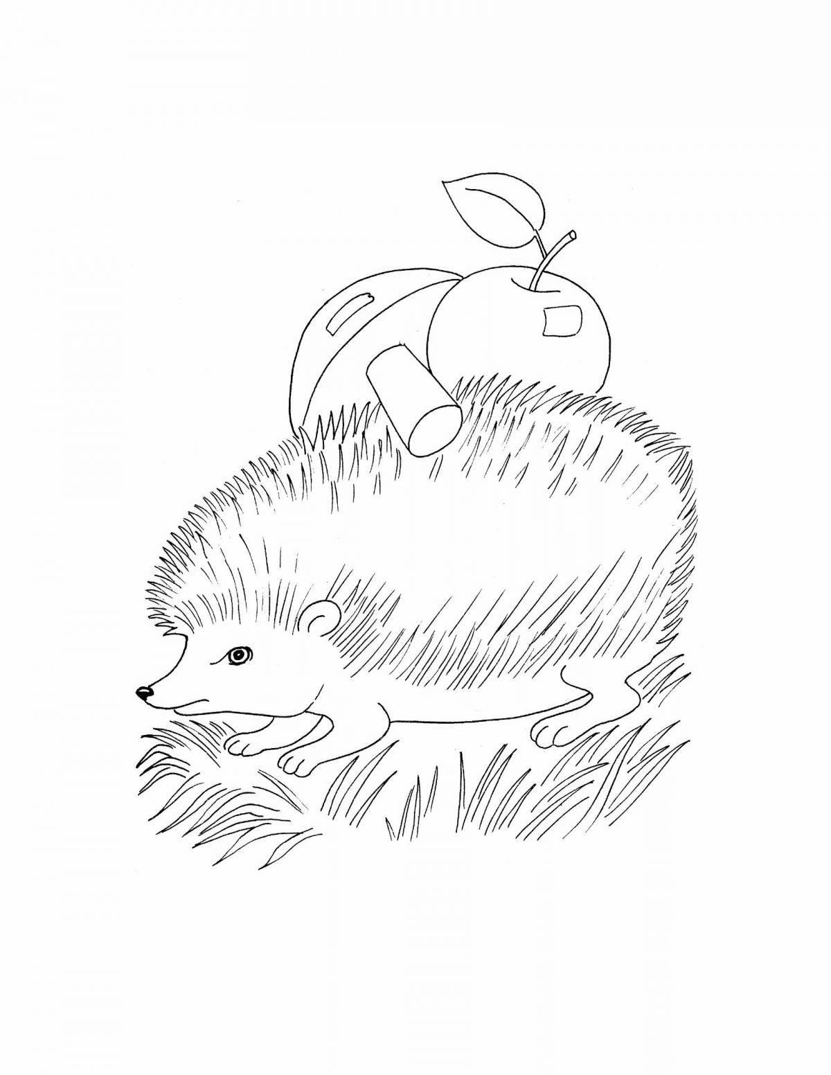 Cute hedgehog drawing