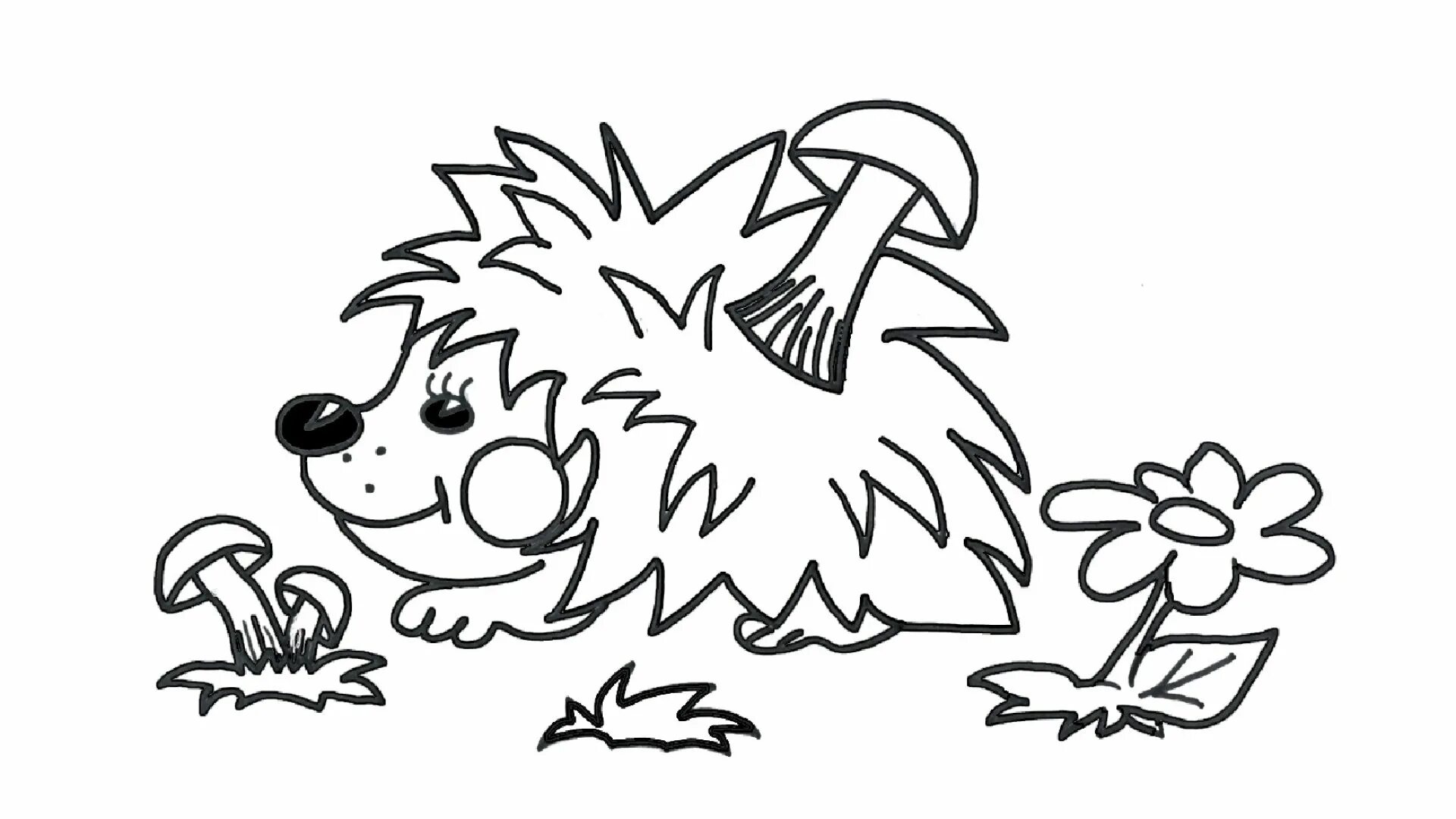 Drawing hedgehog #3