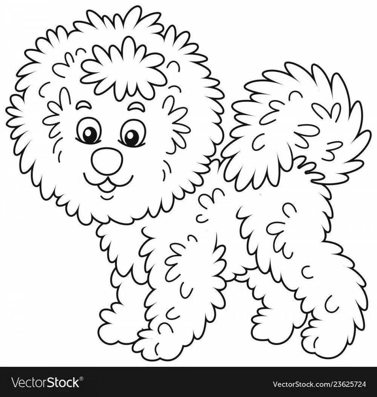 Bichon Frize playful coloring page