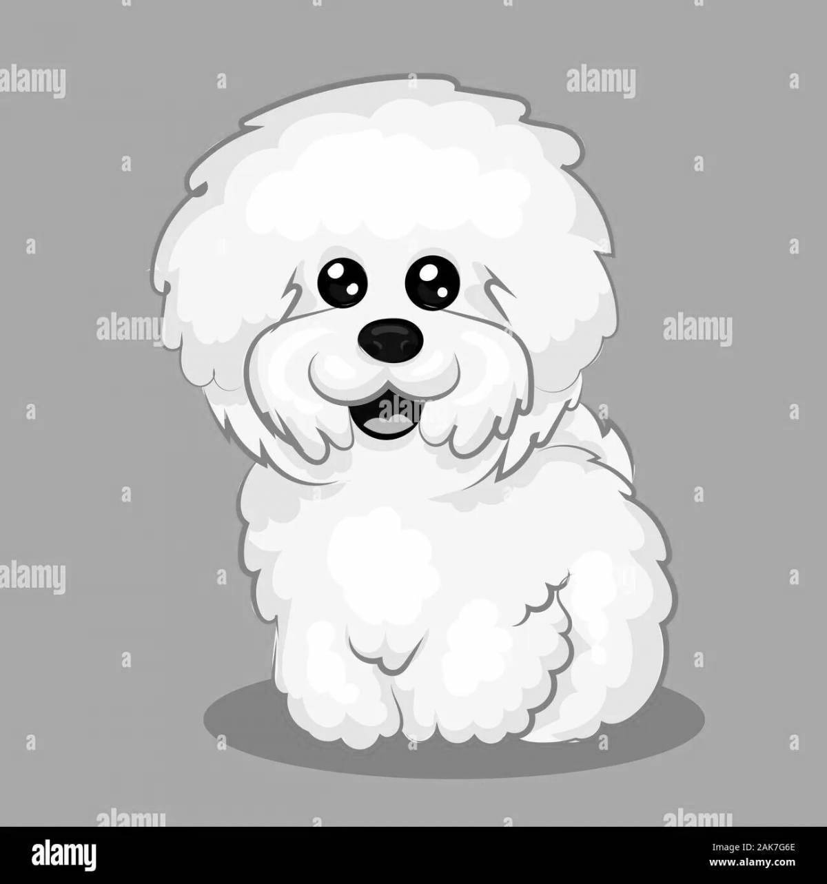 Colorful bichon frize coloring page