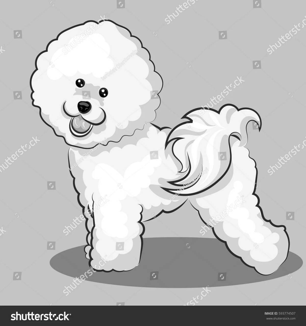 Coloring book charming bichon frize