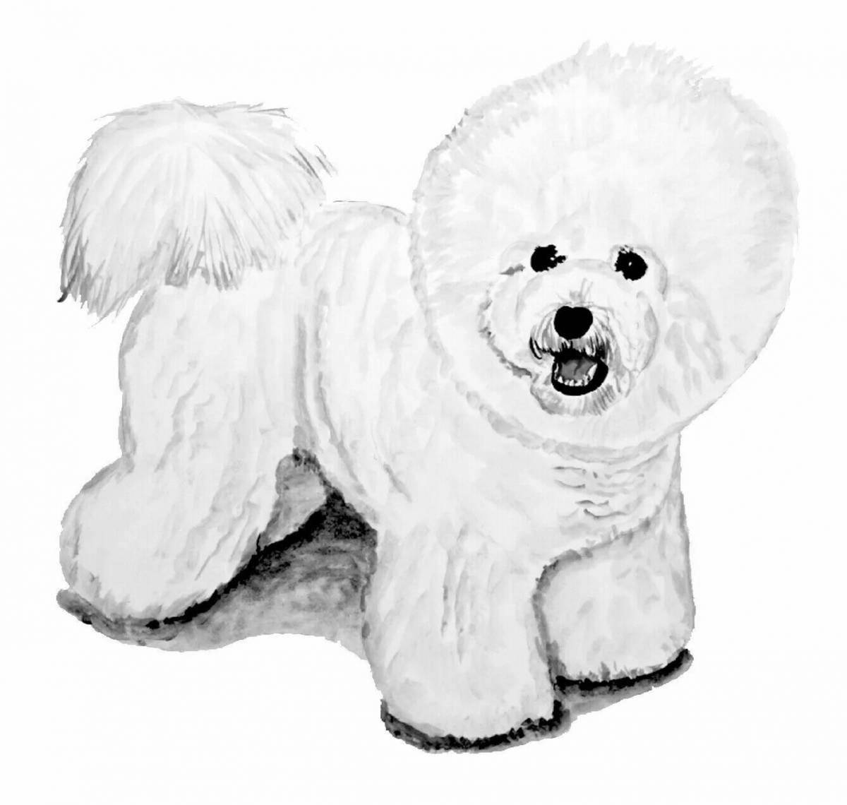 Bichon Frize plush coloring book