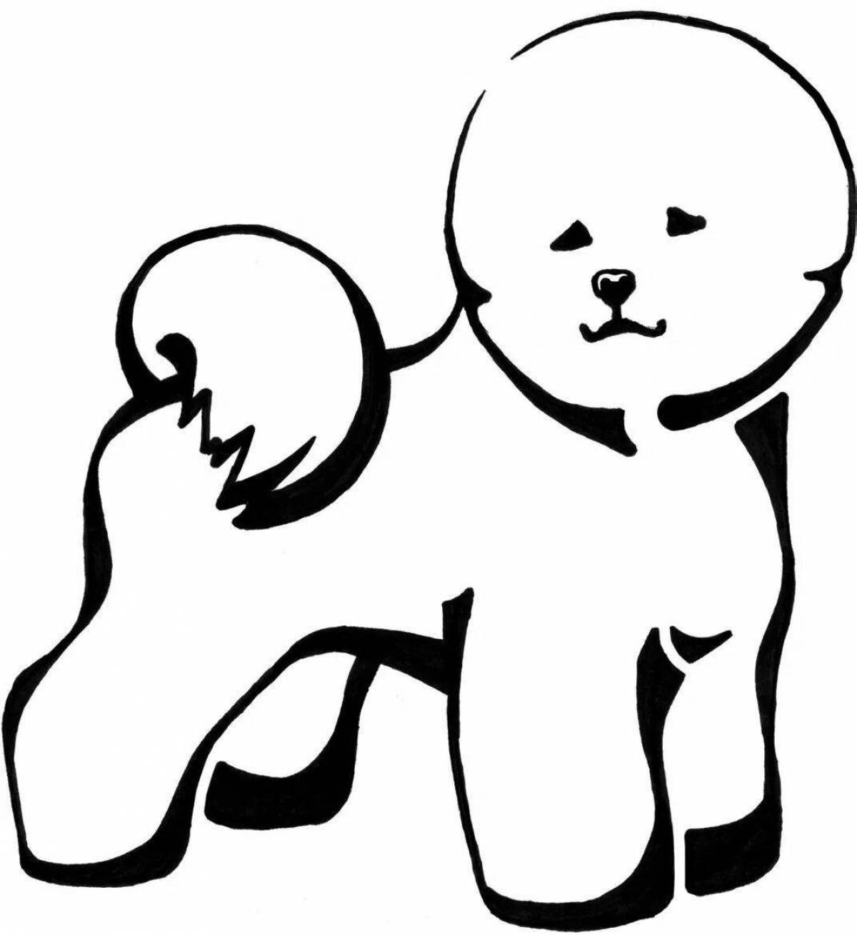 Snuggable bichon frize coloring page