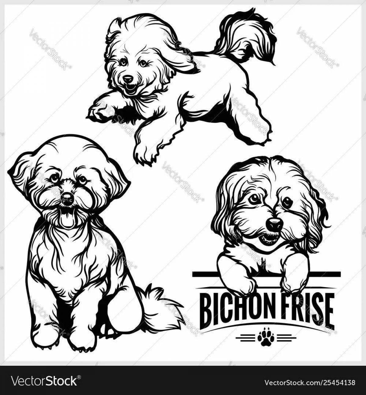 Charming bichon frize coloring book