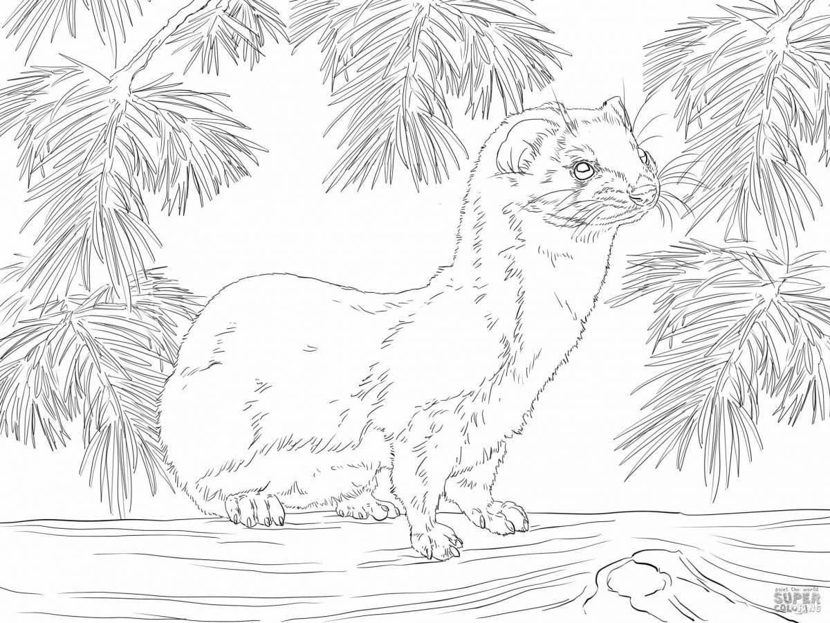 Vibrant fur animal coloring page