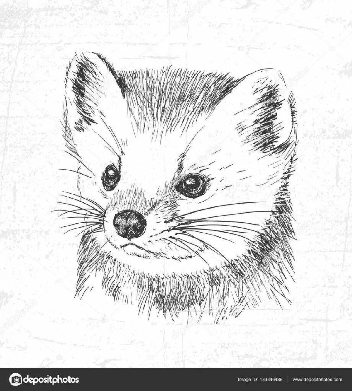 Playful fur animal coloring page