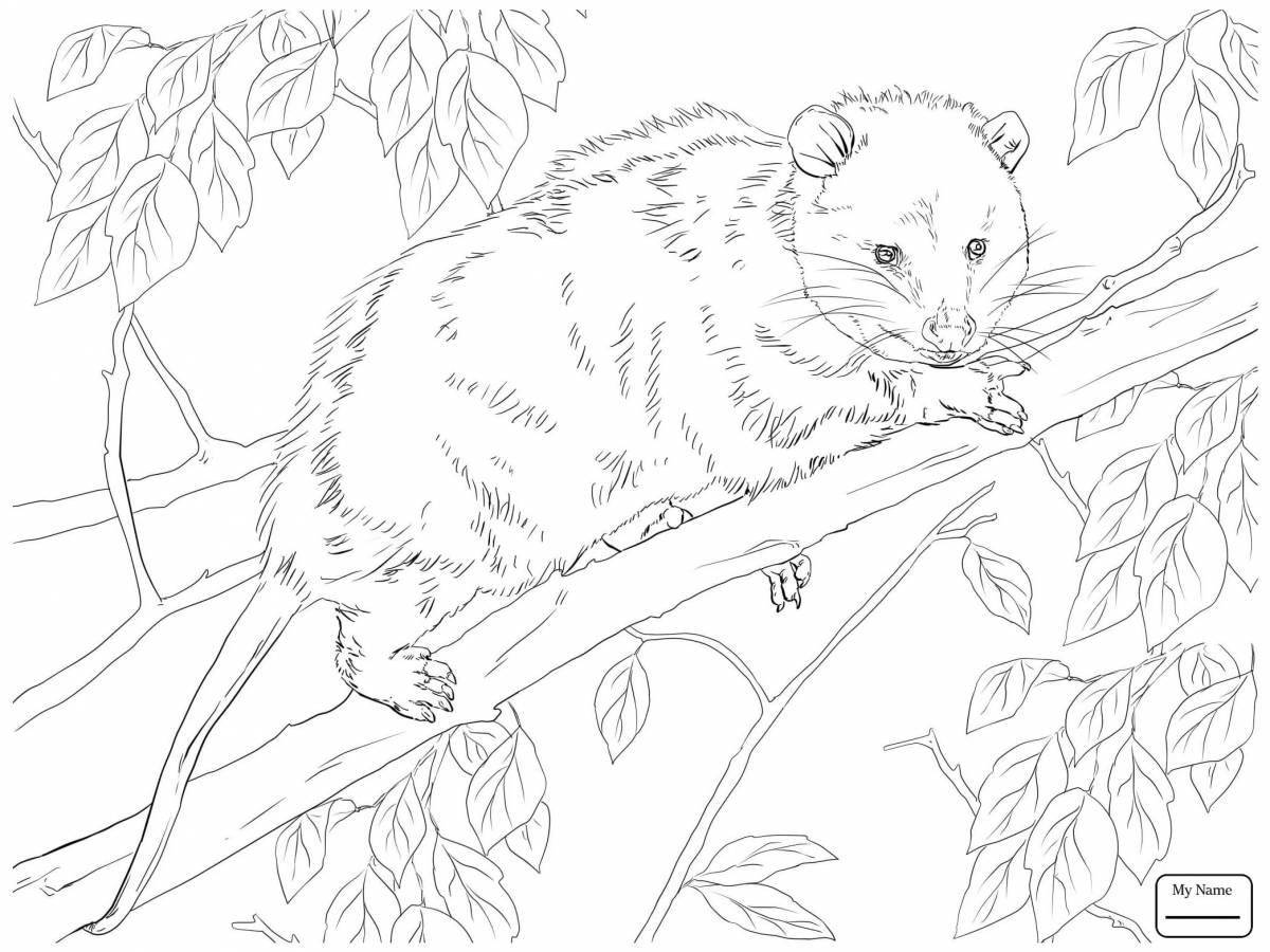 Coloring page gorgeous furry animal