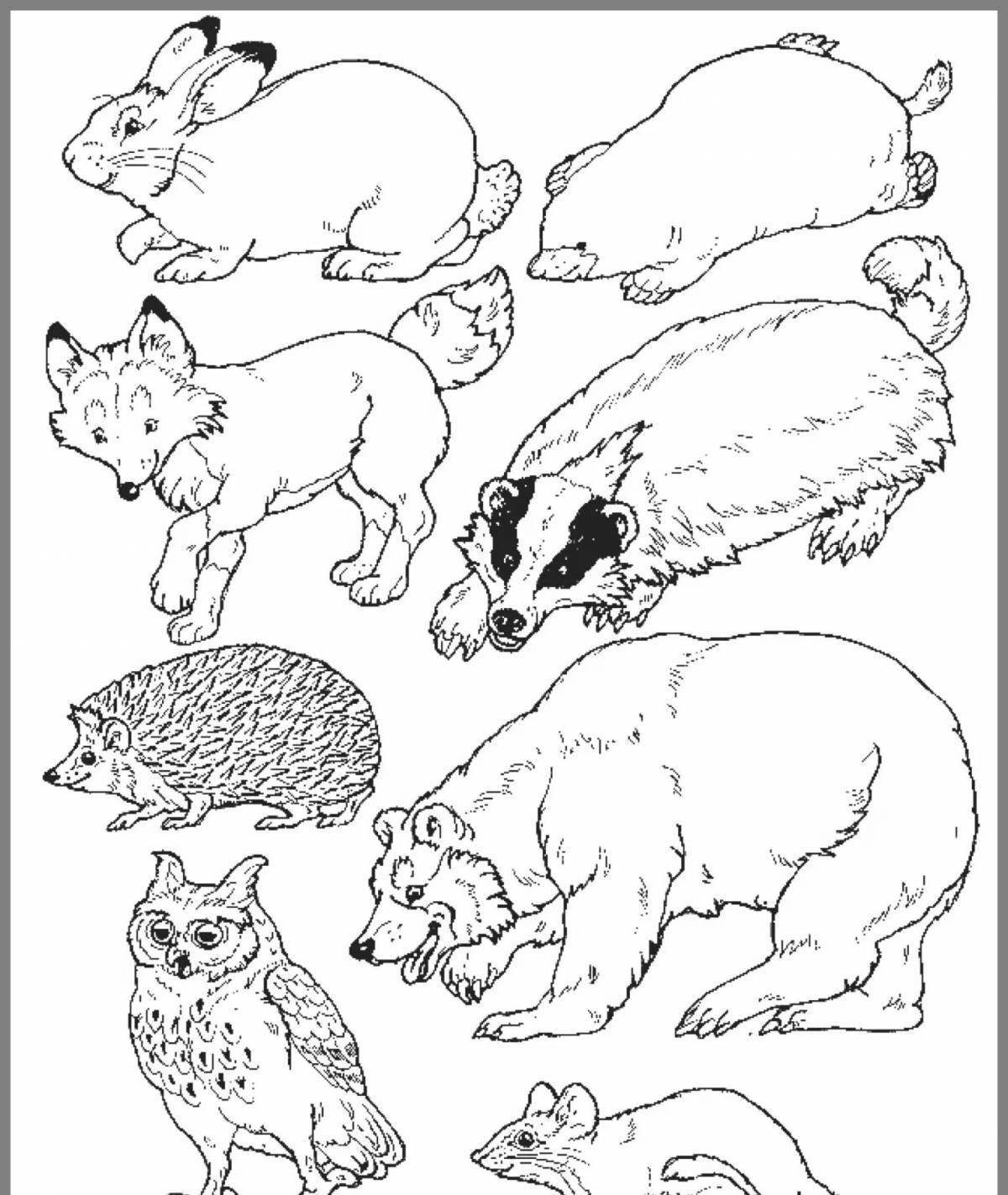 Grand fur animal coloring book