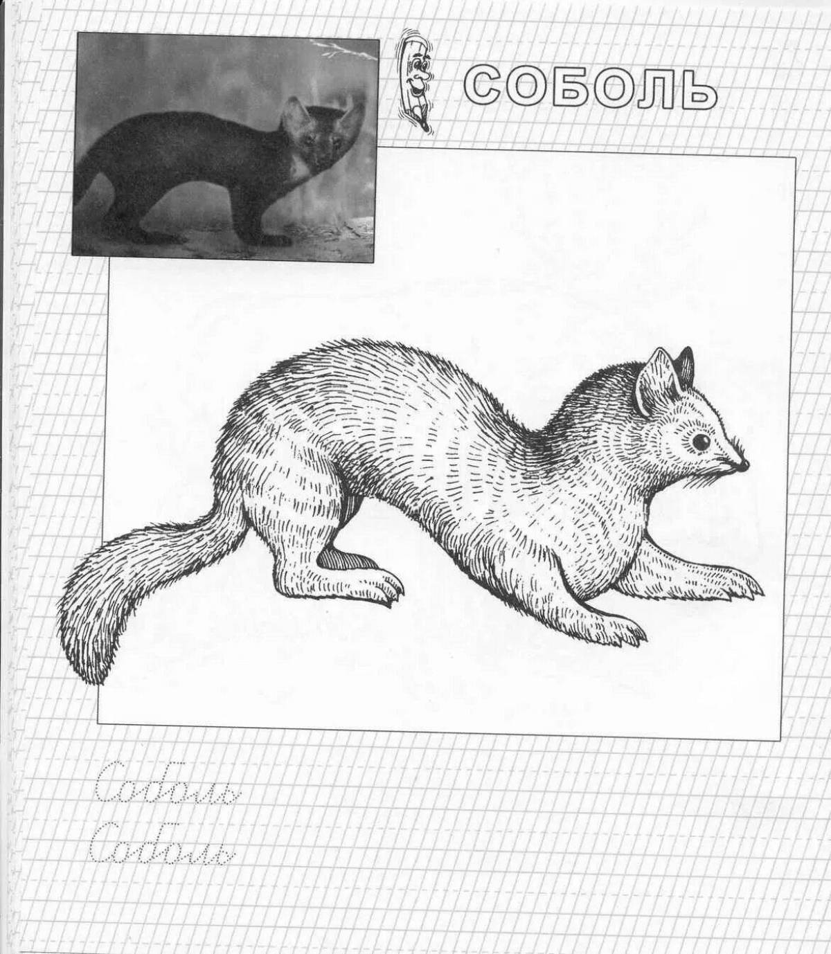 Elegant fur animal coloring page