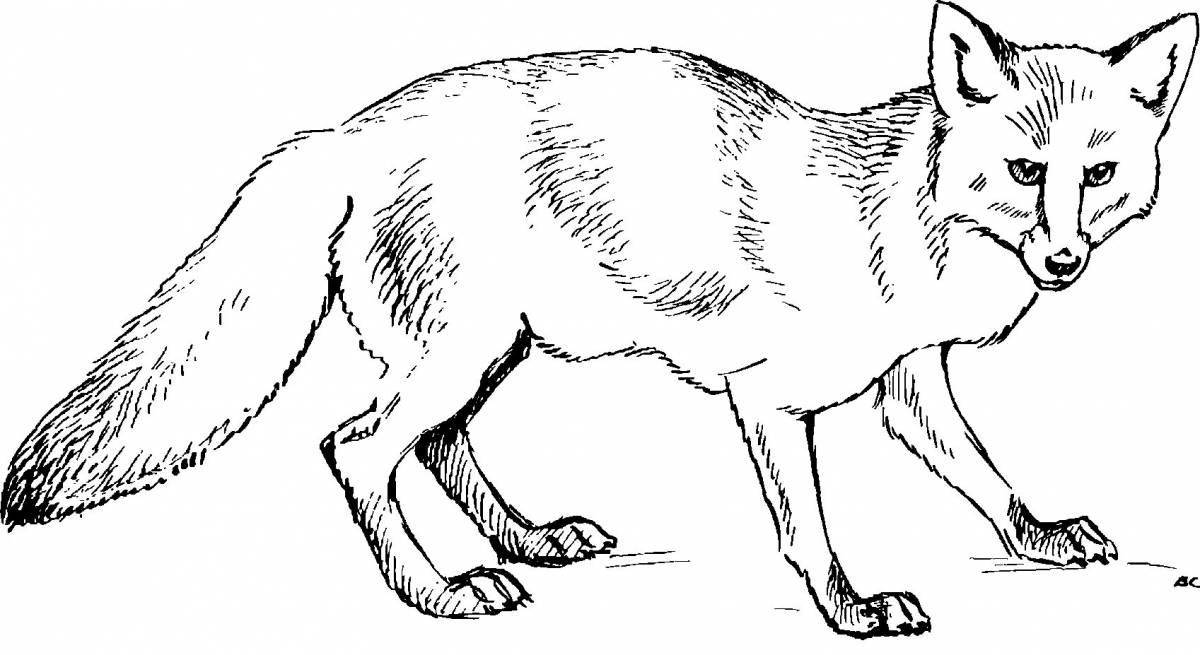 Adorable furry animal coloring page