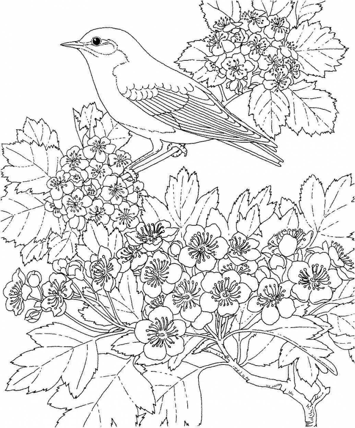 Peaceful spring anti-stress coloring book