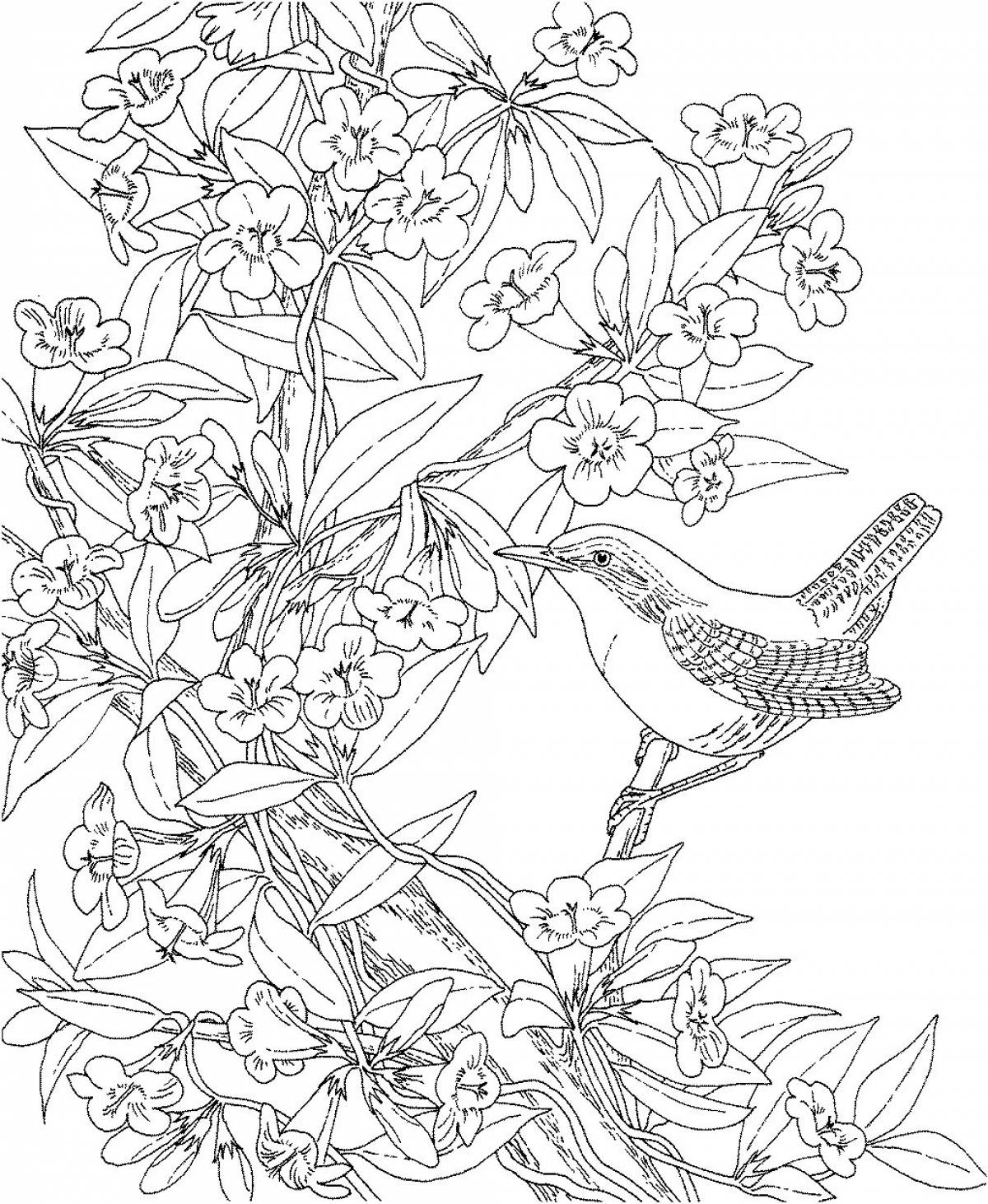Attractive spring anti-stress coloring book