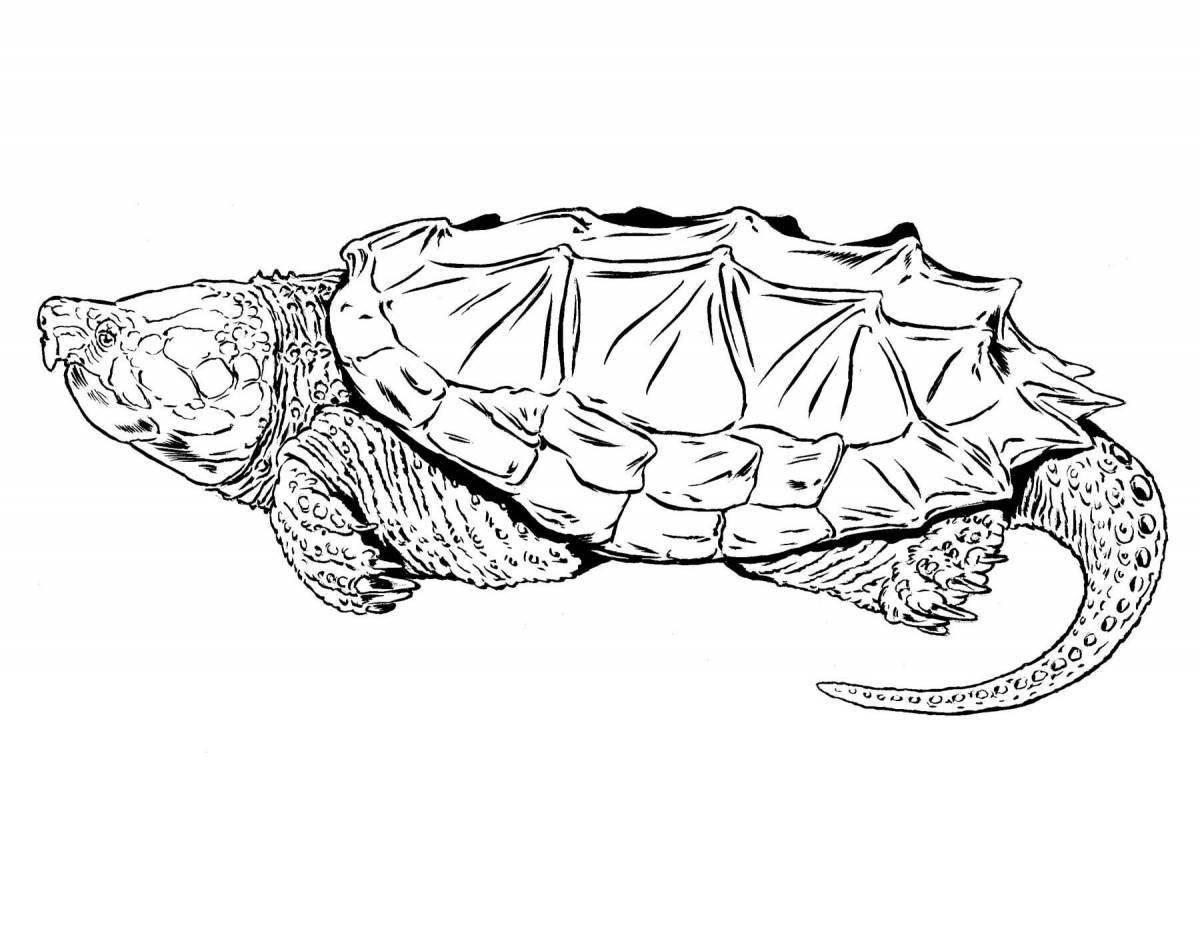 Coloring page wild red-eared tortoise