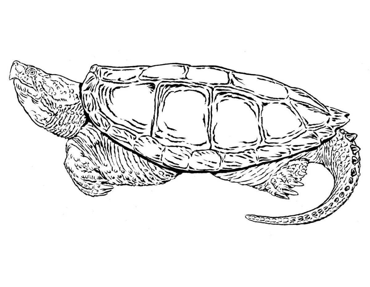 Red-eared turtle coloring page