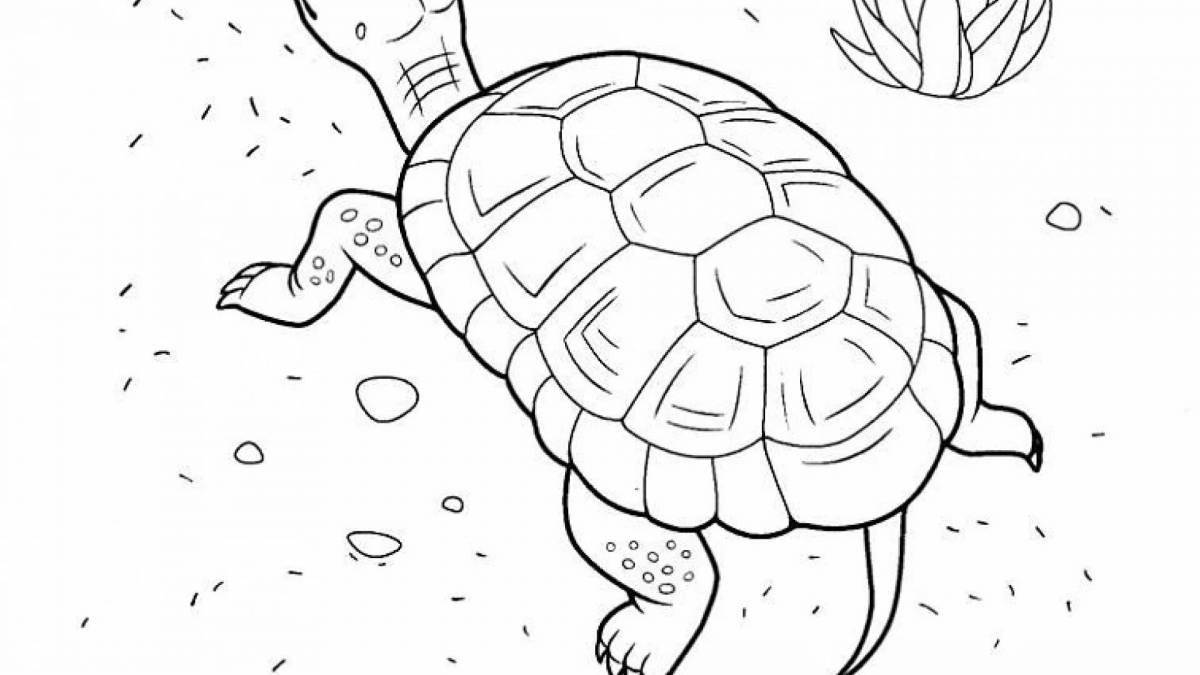 Очаровательная красноухая черепаха