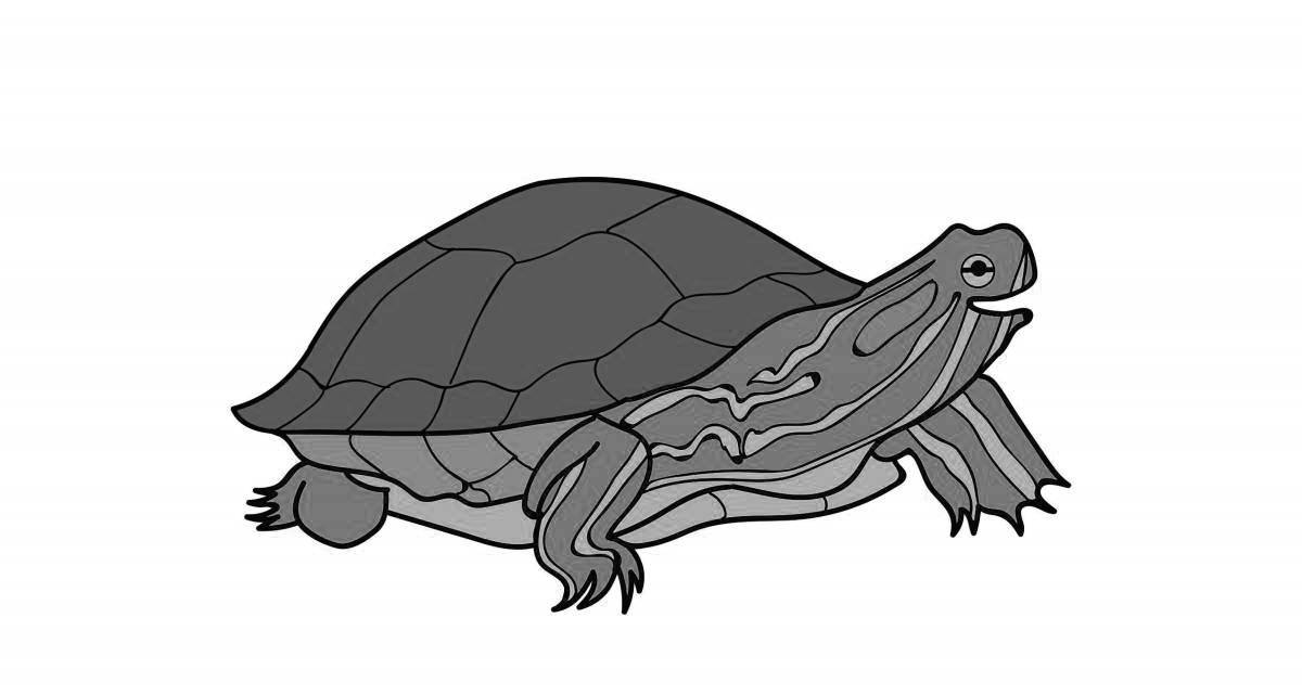 Coloring book funny red-eared turtle