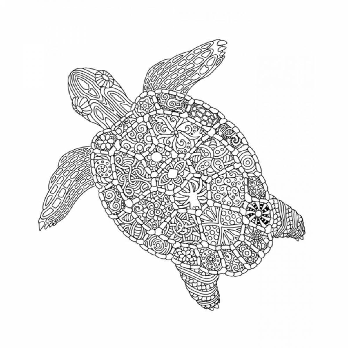 Fancy red-eared turtle coloring book