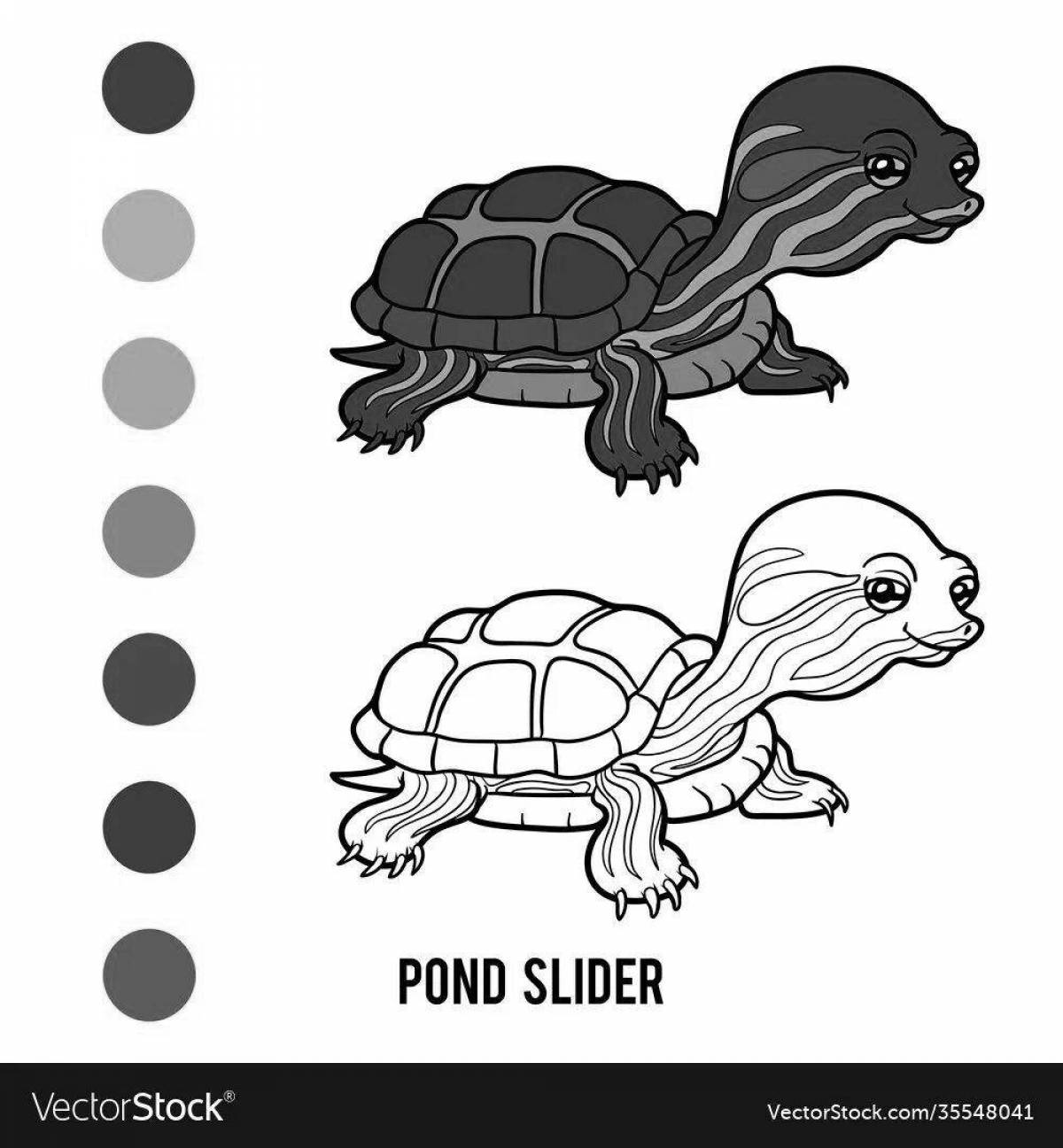 Раскраска дружелюбная красноухая черепаха