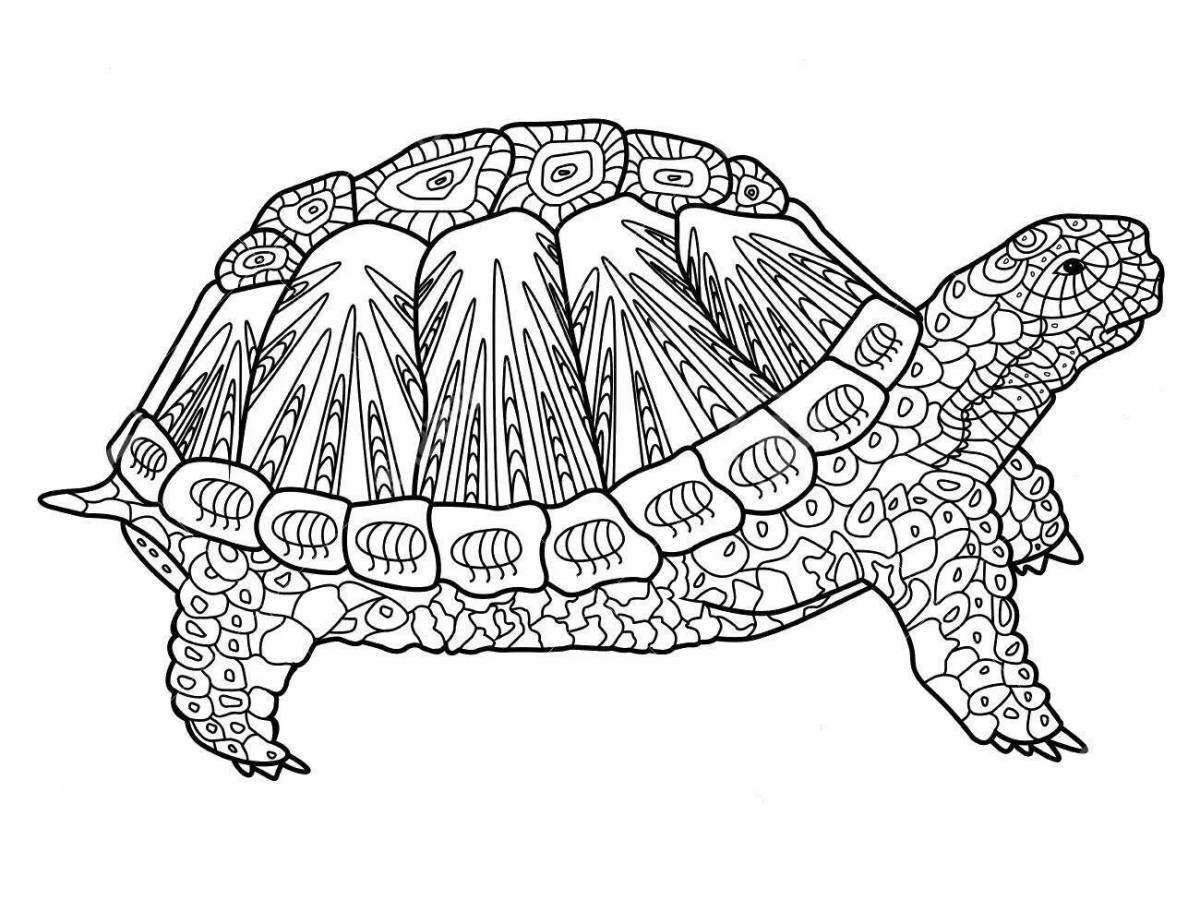 Coloring book calm red-eared turtle