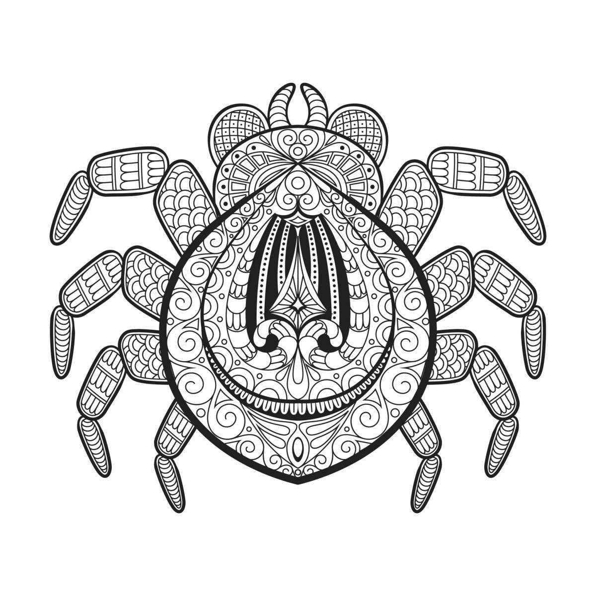 Colorful anti-stress spider coloring book