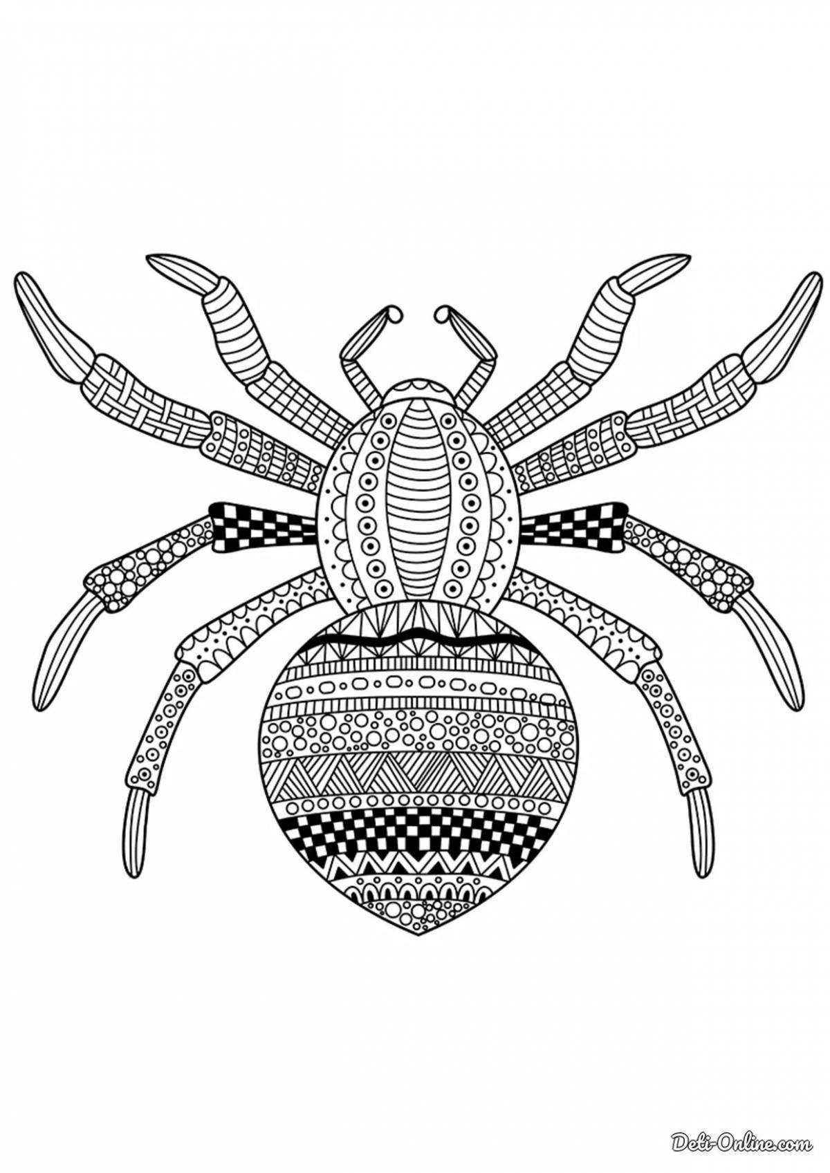 Fun anti-stress spider coloring book