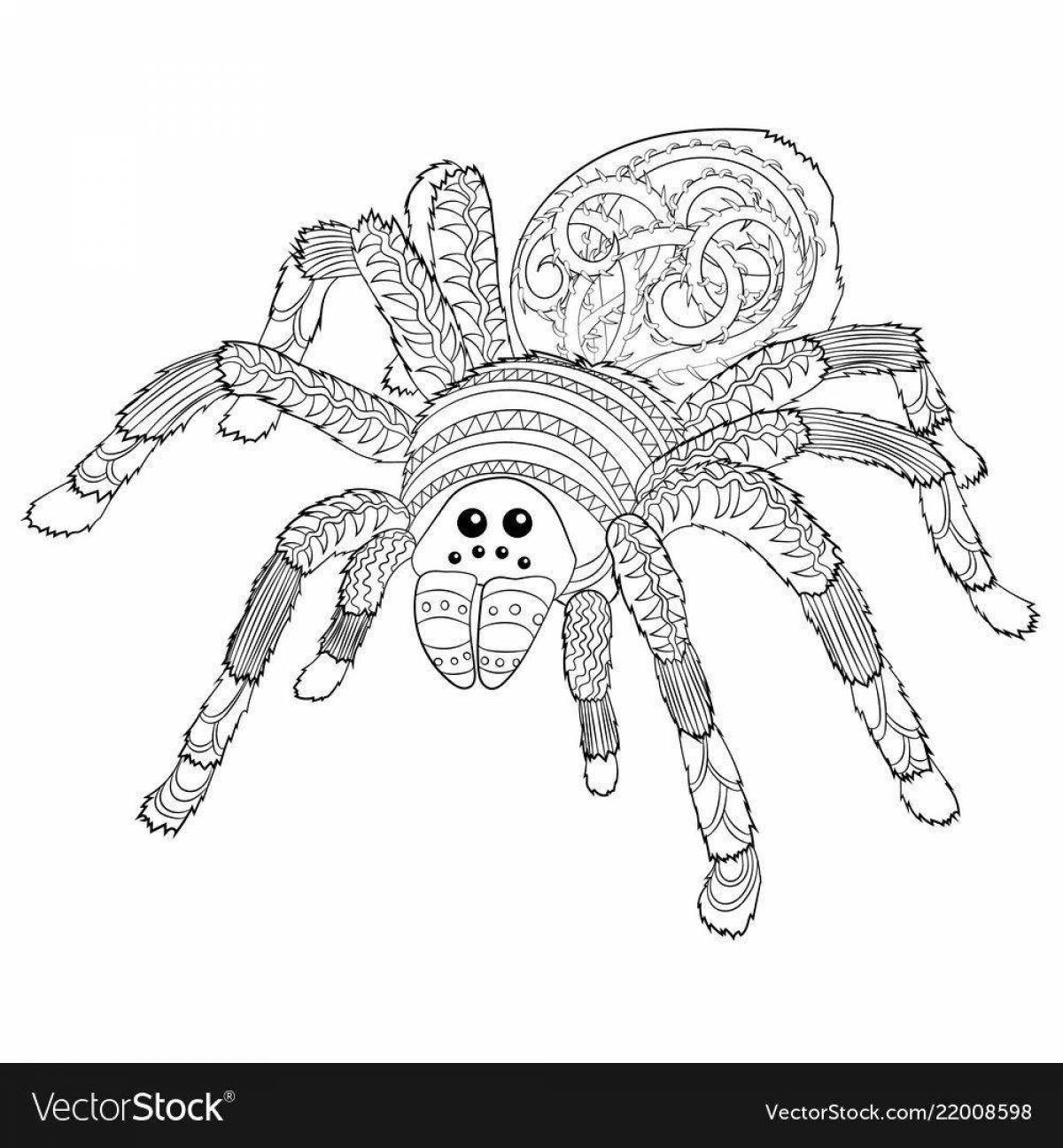 Joyful anti-stress spider coloring book