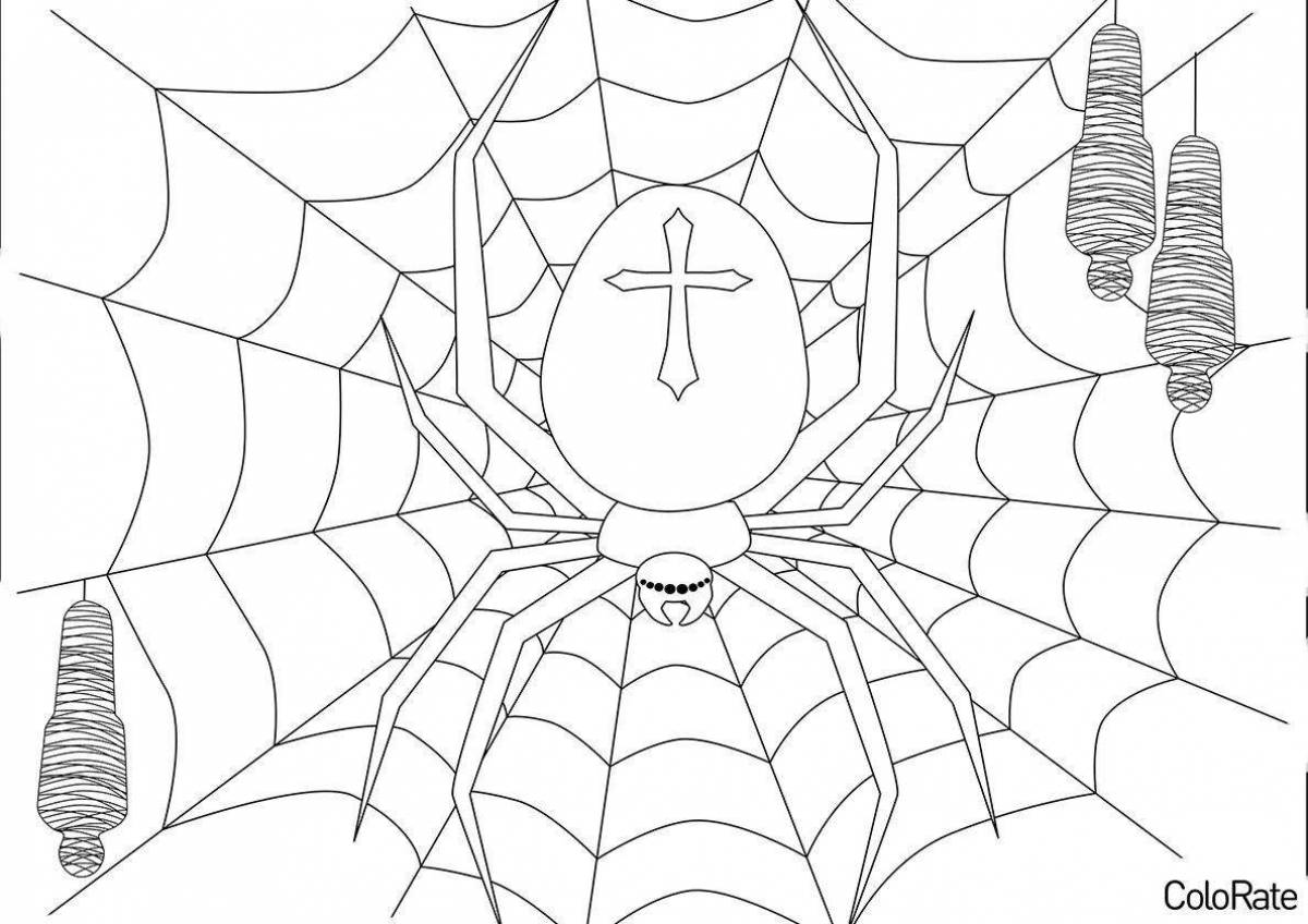 Волнующая антистрессовая раскраска паук