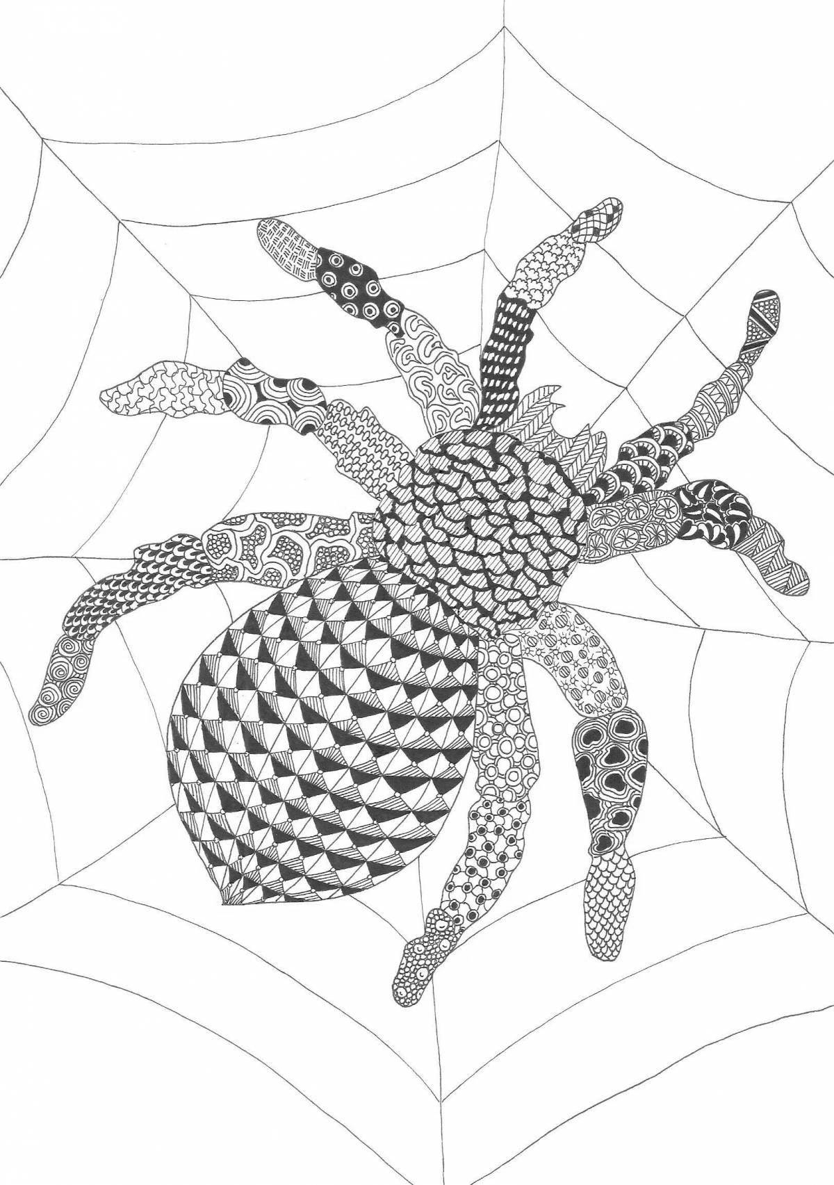 Coloring page blissful antistress spider