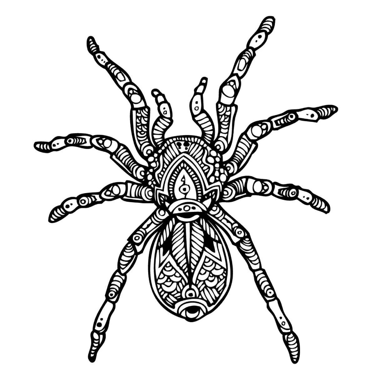 Великолепный антистрессовый паук раскраска