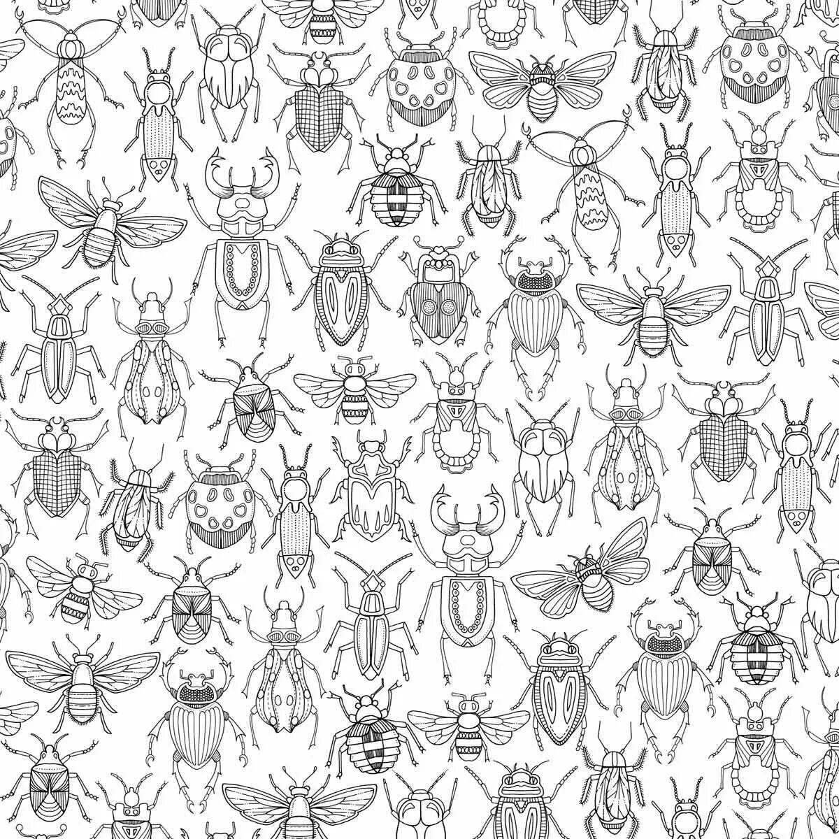 Coloring book shiny anti-stress spider
