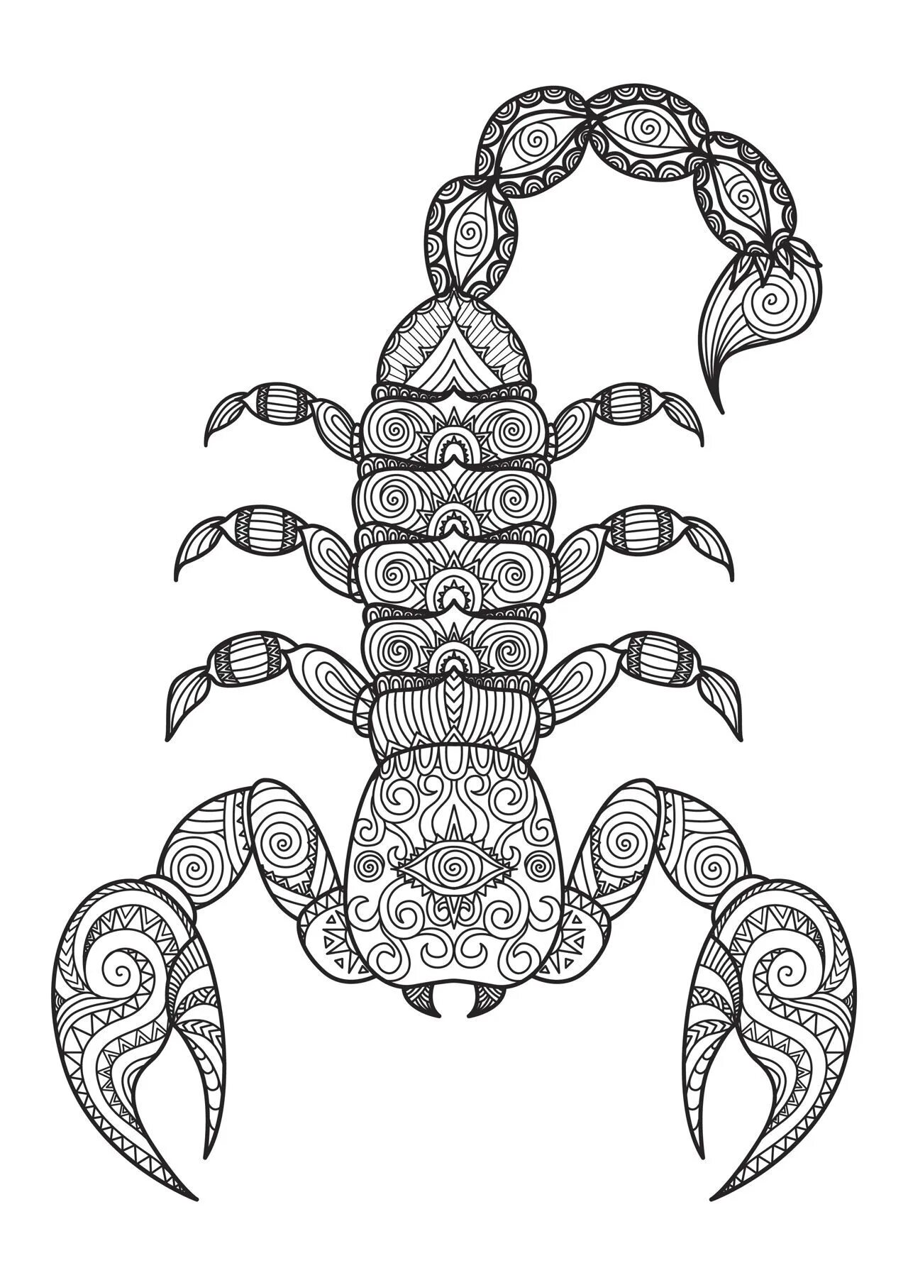 Attractive anti-stress spider coloring book