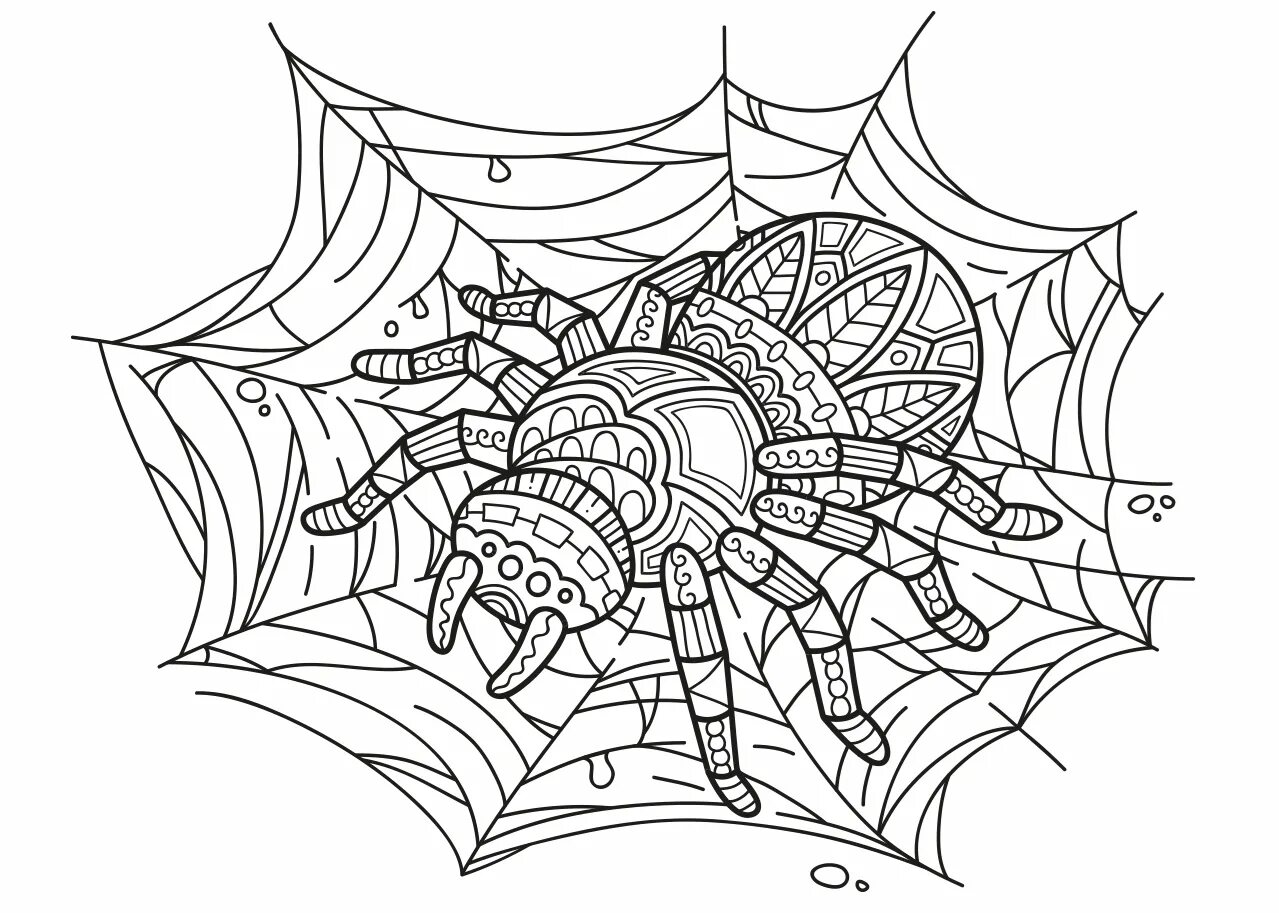 Антистресс паук #8