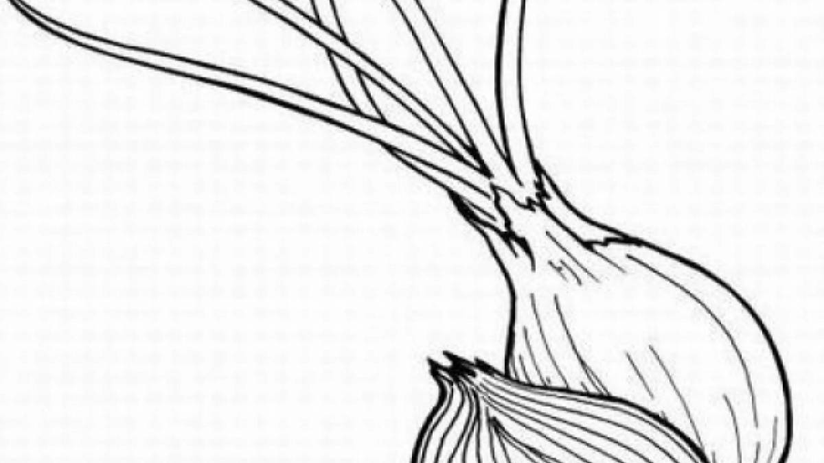 Animated green onion coloring page