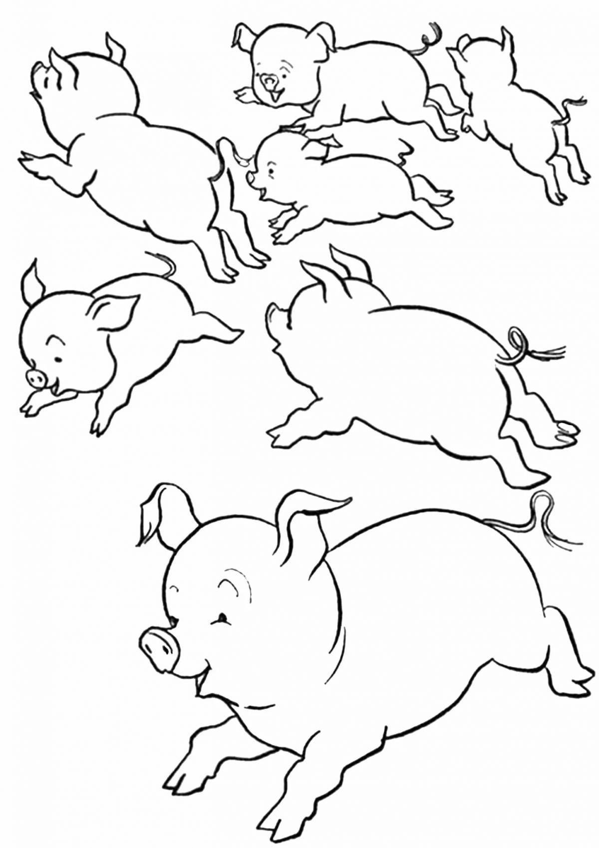 Cute mini pig coloring book