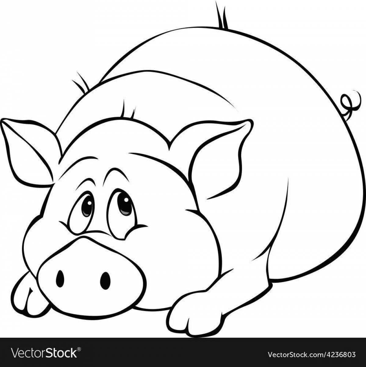 Coloring book plump mini-pig