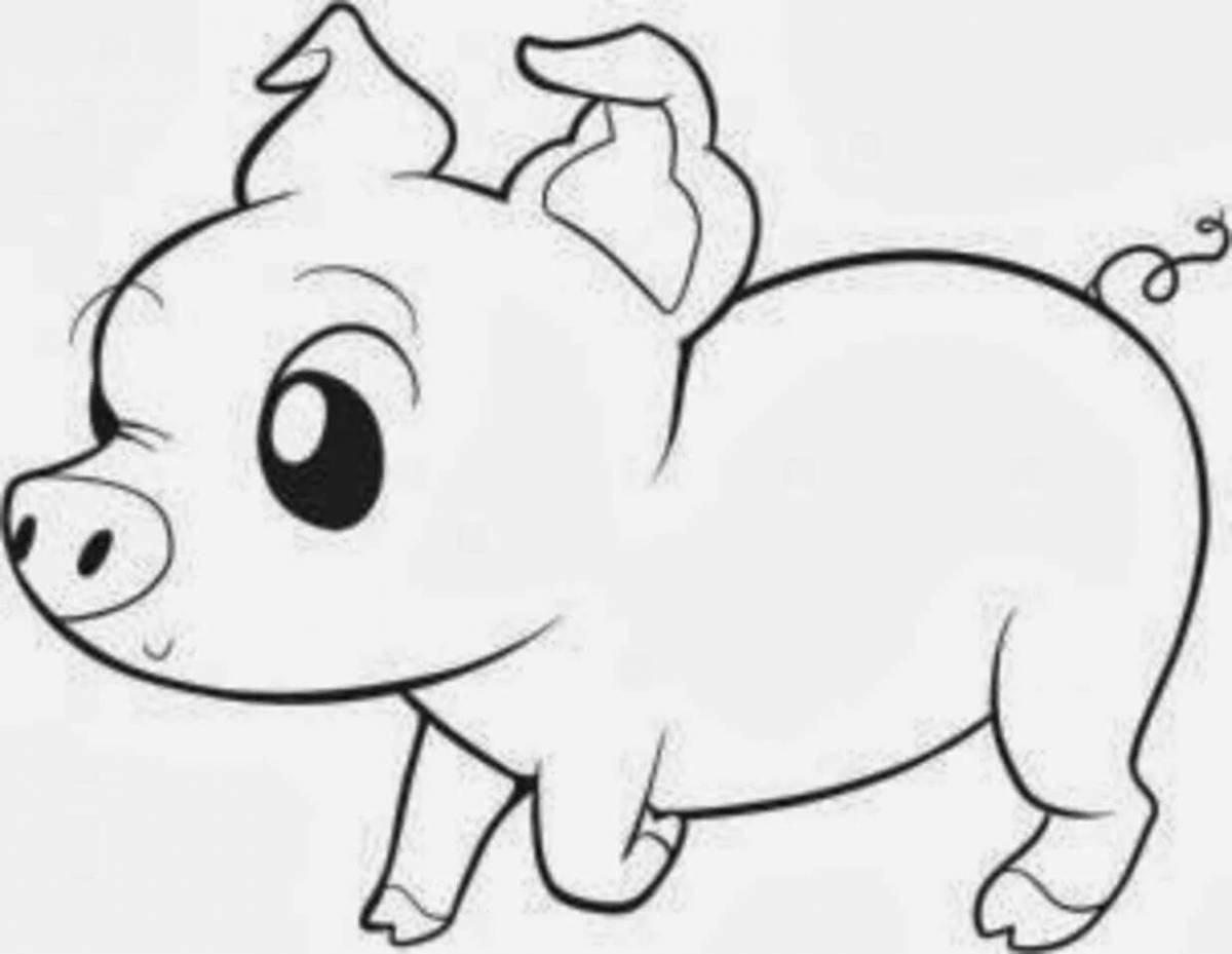 Coloring live mini-pig