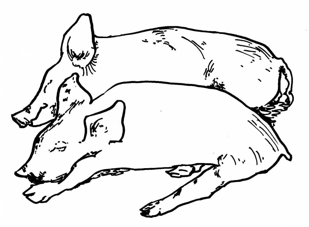 Colorful mini pig coloring page