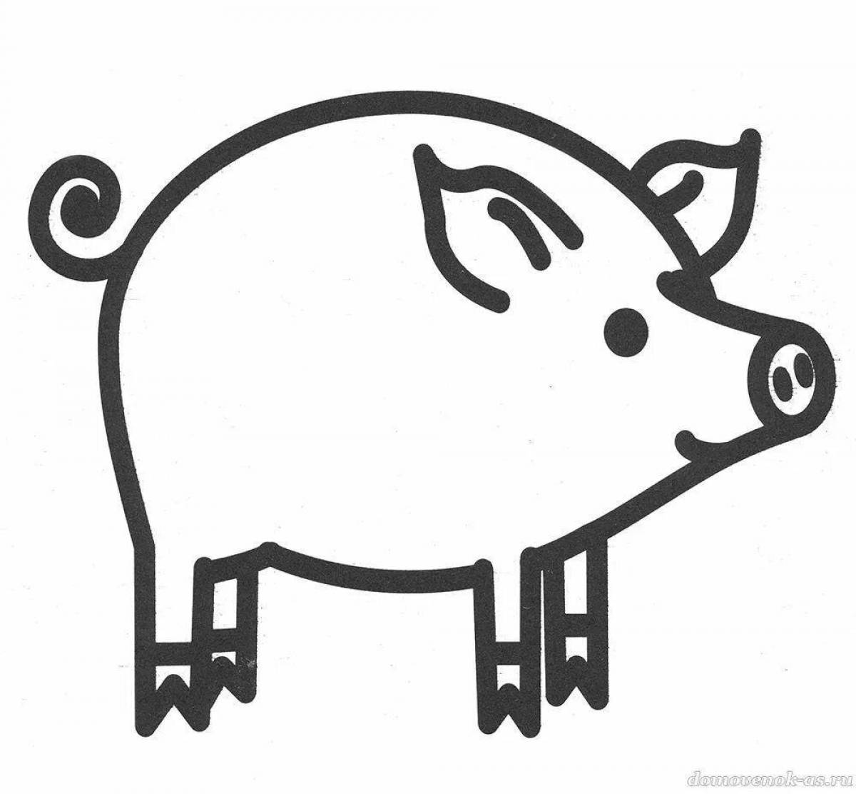 Fun coloring mini pig